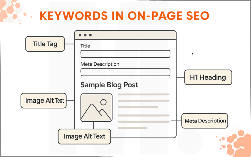 Keywords In On Page Seo